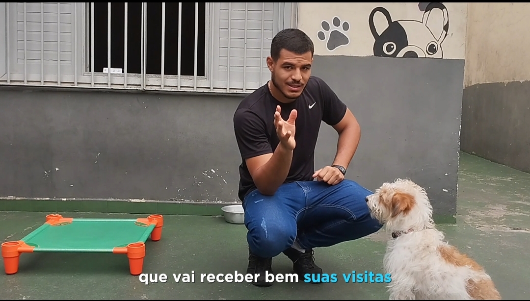 Latidos de Sucesso