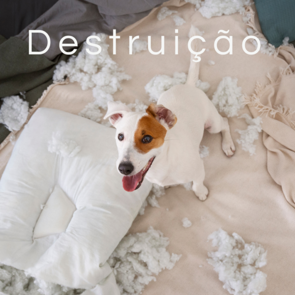 2-600x600-1.webp